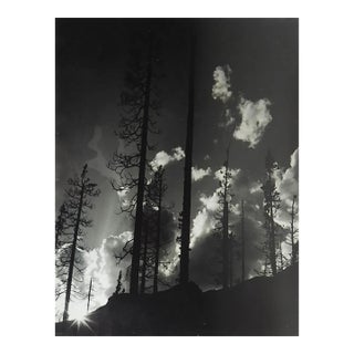 Late 20th Century Photograph Wildfire Forest For Sale