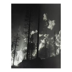 Late 20th Century Photograph Wildfire Forest