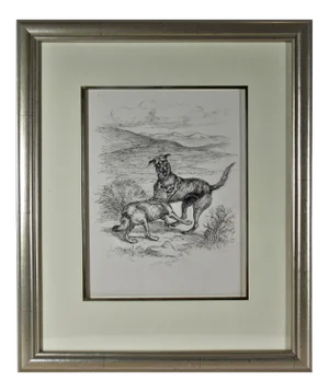 Margaret Sweet Johnson, Dog and Wolf Fighting