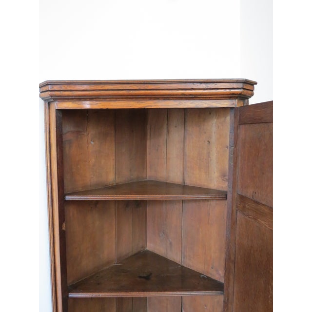 Wood Georgian Oak Panelled Wall-Hanging Corner Cupboard, 1750 For Sale - Image 7 of 18