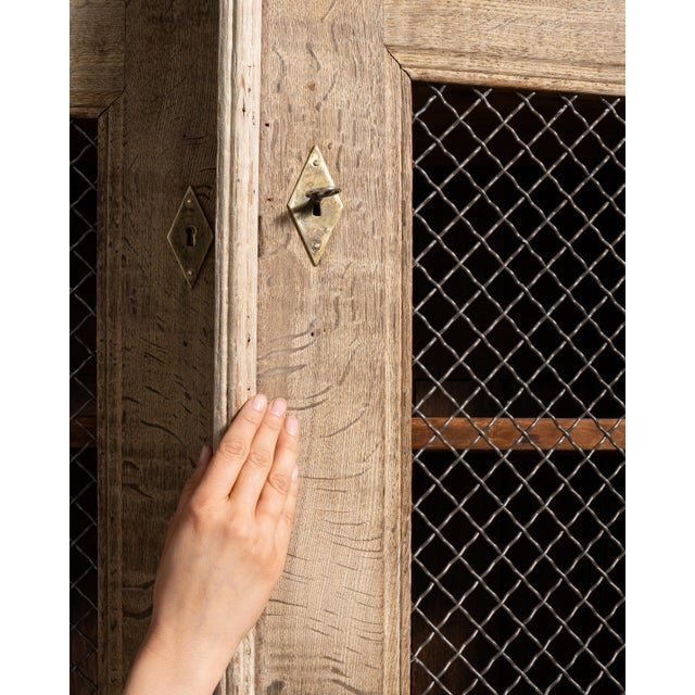 19th Century Oak Cabinet with Mesh Doors For Sale - Image 11 of 13