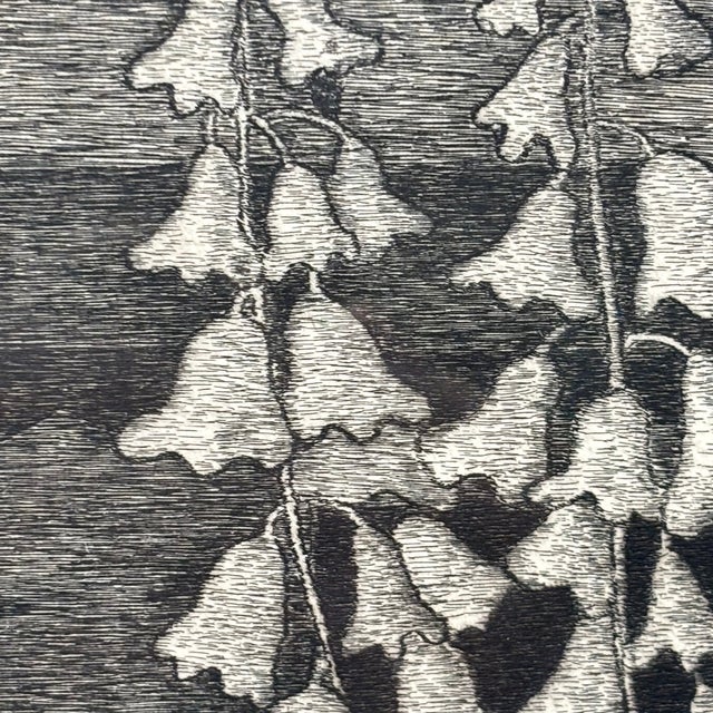 Black Giuseppe Viviani, Cabin on the Sea, Engraving, 1956 For Sale - Image 8 of 15