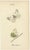 William Home Lizars after Sir William Jardine, Small-Format Butterfly with Botanical Studies, 1835, Paper Engravings, Set of 6 For Sale - Image 6 of 9