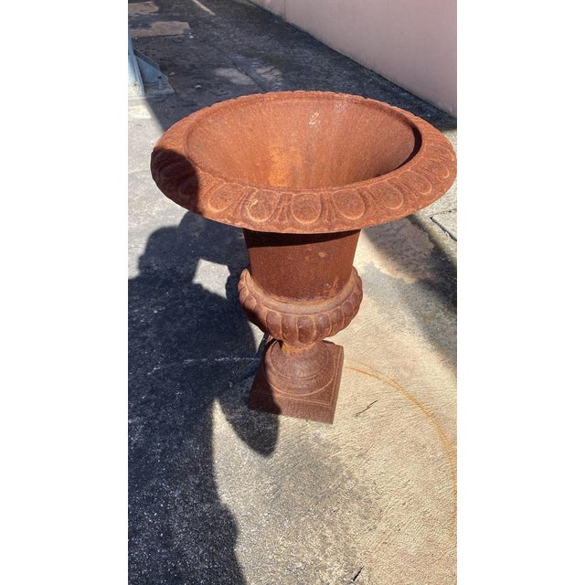 Medici Vases in Cast Iron, 1850, Set of 6 For Sale - Image 4 of 8