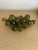 Mid Century Modern Green Lucite Grape Cluster For Sale - Image 12 of 13