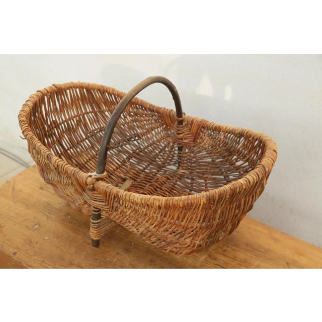 French Antique/Vintage Oval Buttocks Style Grape Harvest Basket w/ Grape Vine Handle early 20's Century. Beautiful...