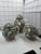 Chinese Antique Chinese Famille Rose Medallion Porcelain Tea Set; Teapot, Sugar, Creamer For Sale - Image 3 of 12