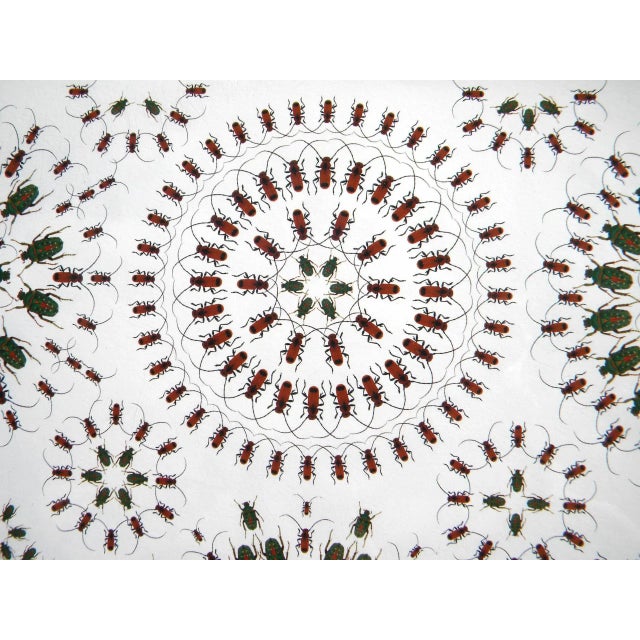 Early 21st Century Jean Orlebeke Original Geometric Beetles Print For Sale - Image 5 of 11