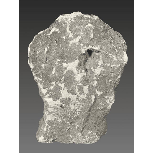 Gallic Sculpture, Celtic Votive Head in Limestone, 2nd-1st Century BC, Archaeology For Sale - Image 4 of 4