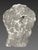 Gallic Sculpture, Celtic Votive Head in Limestone, 2nd-1st Century BC, Archaeology For Sale - Image 4 of 4