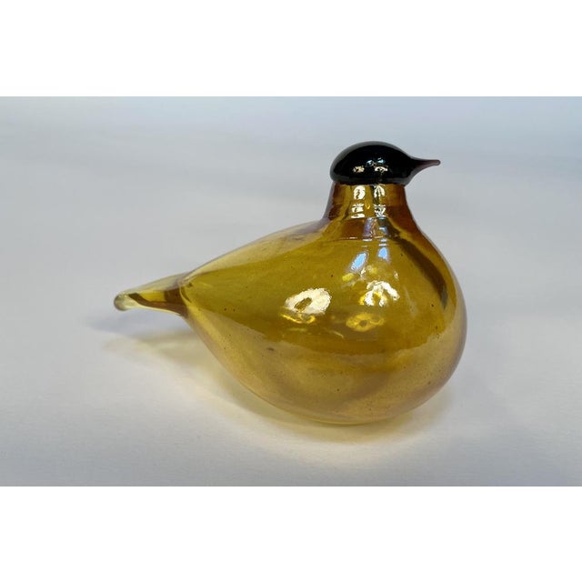 Tirri Mouth-Blown Glass Art Birds by Oiva Toikka for Iittala, Finland 1980s, Set of 2 For Sale - Image 10 of 18