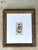 Vintage Undersea Specimen Print in Carved Wood Frame For Sale - Image 11 of 12