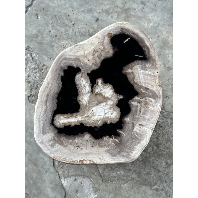Side Table in Petrified Wood For Sale - Image 14 of 18