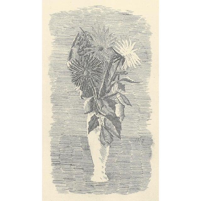 Giorgio Morandi, Flowers in a White Vase, 1957 For Sale - Image 3 of 7