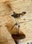 Austrian Folk Art Carved Wood Wren #99, 1930s For Sale - Image 4 of 5