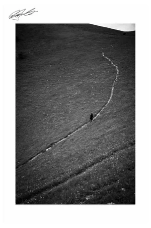 Carlo Caboni, Violinist, Original Photograph, 2020