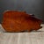 Vintage Live Edge Redwood Burl Coffee Table c.1960 For Sale - Image 4 of 11