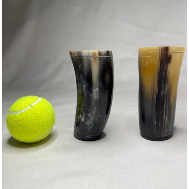 Pair of Rustic European Horn Vases For Sale - Image 10 of 12