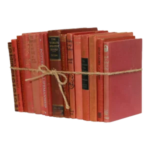 Decorative Books - Petite Vintage Brick Book Bundle - 1 Foot of Red Books