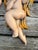 Mid 19th Century Chalkware Nude Cherub Sculptural Wall Hangings For Sale - Image 5 of 12
