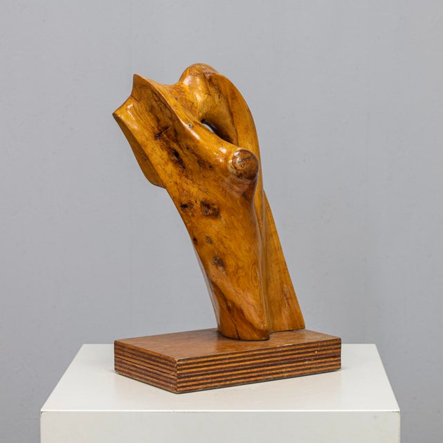 Abstract Organic Wood Sculpture by H. Hinfelaar, Netherlands, 1980s For Sale - Image 11 of 11