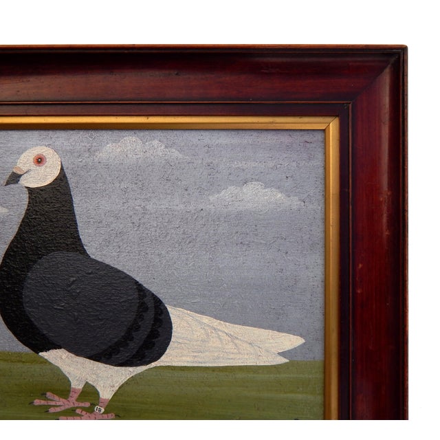 Matt Rix, Naïve Style Racing Pigeon, Oil Painting, Framed For Sale - Image 6 of 12