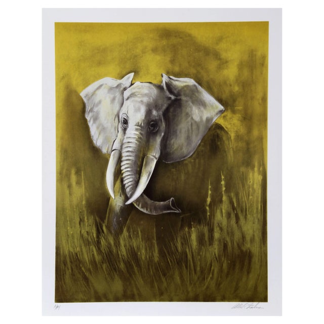 Allen Friedman, Rouge Bluff, Lithograph For Sale