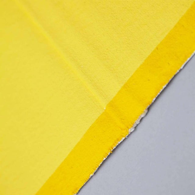 "Pinch" by Ángela de la Cruz in 2015. Edition of 50 + 18 A.P. + 2 P.P. Acrylic on canvas. The document shown on the photo...