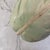 Patricia Garrett Cabbage Bowl For Sale - Image 4 of 8