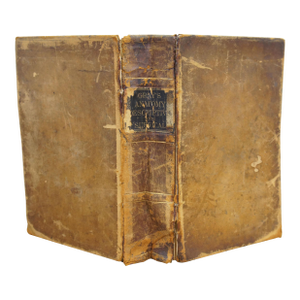 Antique 1878 Grays Anatomy Descriptive Surgical Medical Book Henry C Lea Leather