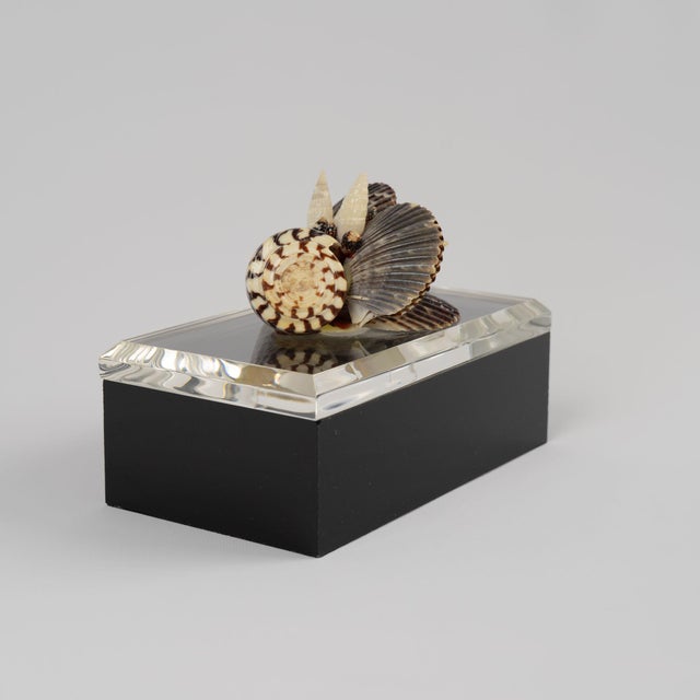 Plastic Vintage Lucite Lidded Box With Natural Seashell Cluster Handle For Sale - Image 7 of 16