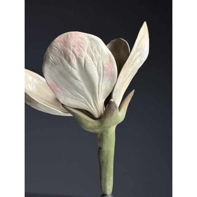 German Botanical Floral Model, 1900 For Sale - Image 9 of 18