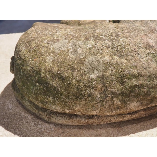 Weathered Cast Stone Pig and Piglets From England, 20th C. For Sale - Image 9 of 13