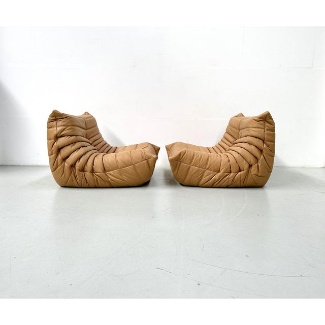 Vintage Togo Chairs in Camel Leather by Michel Ducaroy for Ligne Roset, Set of 2 For Sale - Image 5 of 11