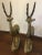 Vintage 1960s Brass Standing Antelope Figurines - a Pair For Sale - Image 9 of 13