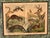 Wood Set of Nine Gotthilf Von Schubert Natural History Chromolithographs For Sale - Image 7 of 17
