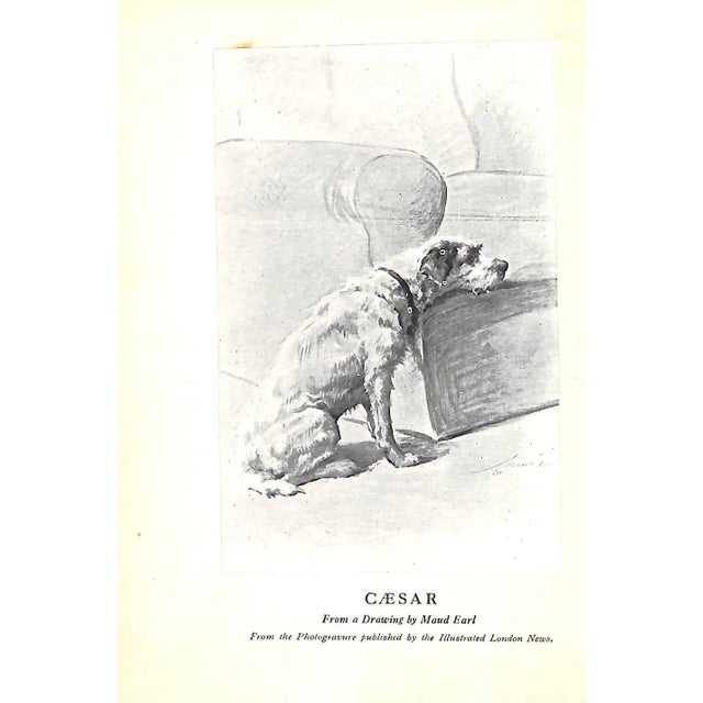 Paper "Where's Master? By Caesar the King's Dog" 1910 For Sale - Image 7 of 7