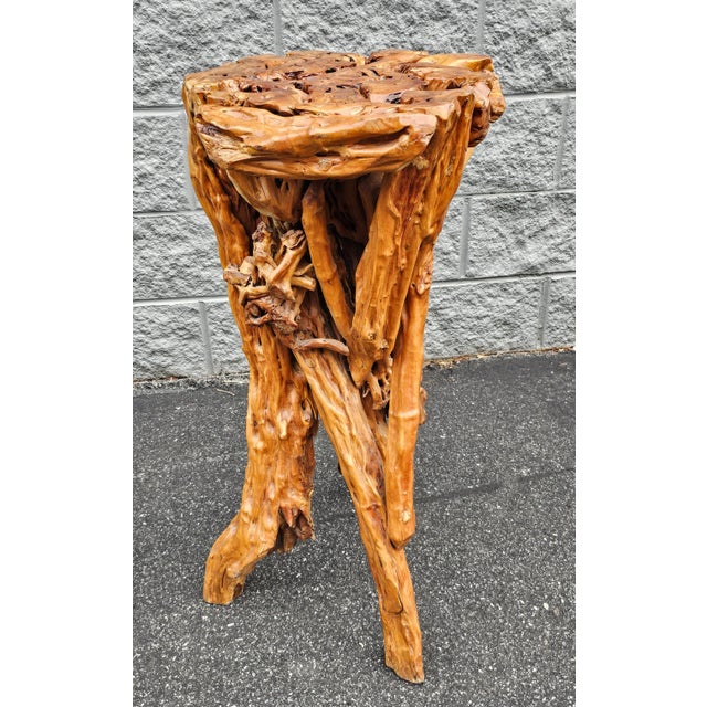 Varnished Driftwood Root Natural Organic Wood Pedestal Side End Table Stand For Sale - Image 4 of 7