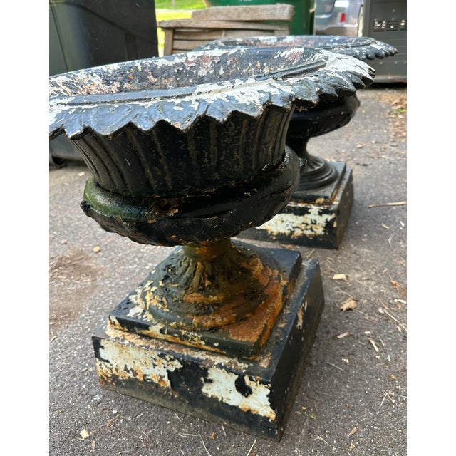 Exceptional pair of cast iron garden urns with the best matching crusty paint history. With black over white over...