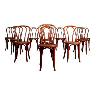 Antique Johann Kohn Bentwood Bistro Dining Chairs - Set of 11 For Sale