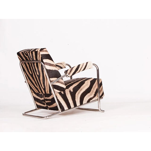 Zebrafell Tubular Steel Chair from Hynek Gottwald, 1930s For Sale - Image 3 of 10