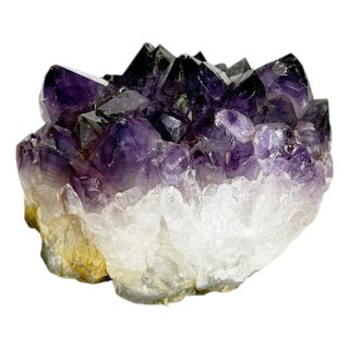 20th Century Press Paper in Amethyst, France For Sale