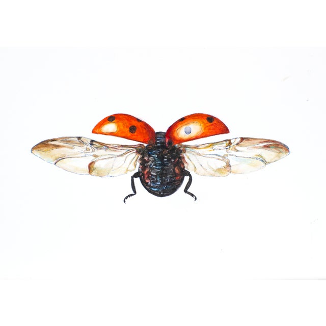 Contemporary Juris Utans, Ladybug in Flight II, 2021, Mixed Media on Paper For Sale - Image 3 of 3