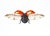 Contemporary Juris Utans, Ladybug in Flight II, 2021, Mixed Media on Paper For Sale - Image 3 of 3