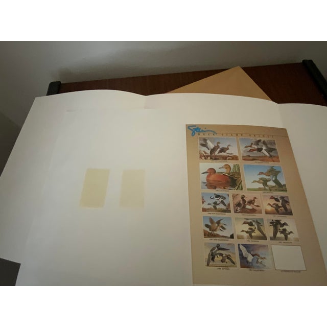 1982-1983 Federal Duck Stamp Limited-Edition Print “Canvasback” by David Maass- Framef For Sale - Image 4 of 8