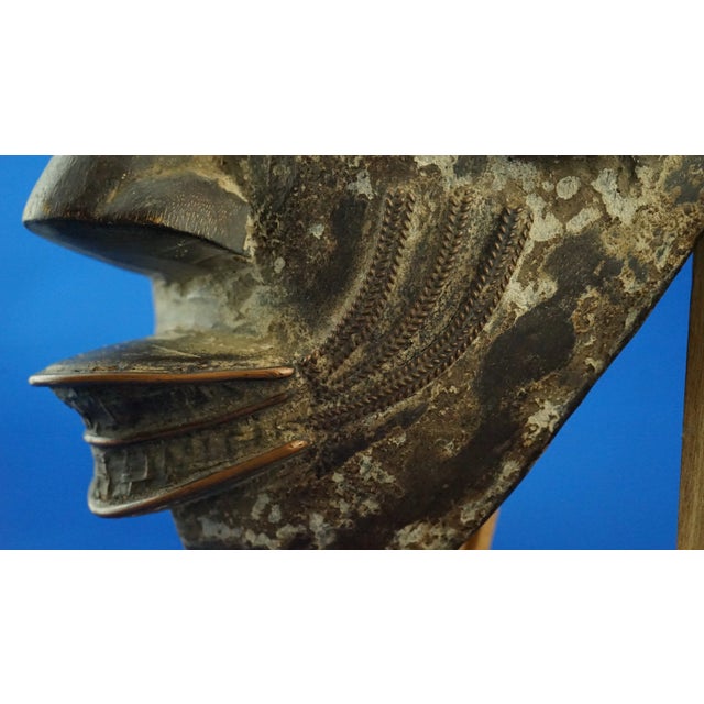 20th Century Wenge and Copper Tribal Mask, Tikar Tribe of Cameroon, Africa For Sale - Image 15 of 18