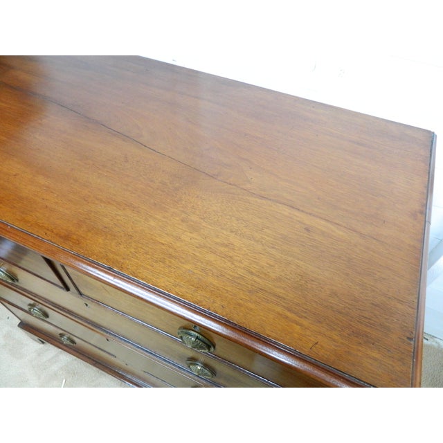 Edwardian Mahogany Chest of Drawers, 1890s For Sale - Image 6 of 18