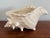 Decorative vintage ceramic conch shell in great condition. Can be used as a cachepot or as is.