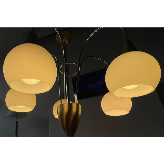 Brass and Opaline Glass 5-Light Chandelier from Honsel Leuchten, Germany, 1970s For Sale - Image 14 of 18