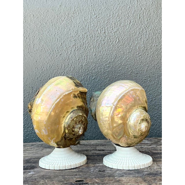 Late 20th Century Vintage Deco Nautilus Shell Lamps - A Pair For Sale - Image 5 of 12